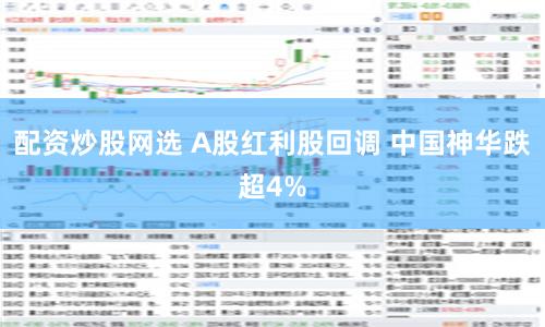配资炒股网选 A股红利股回调 中国神华跌超4%