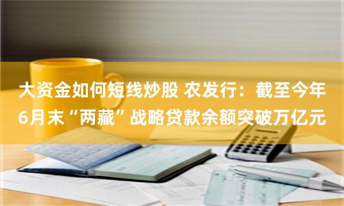 大资金如何短线炒股 农发行：截至今年6月末“两藏”战略贷款余额突破万亿元