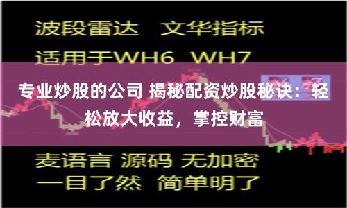 专业炒股的公司 揭秘配资炒股秘诀：轻松放大收益，掌控财富